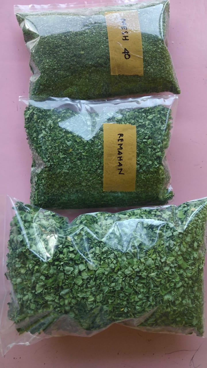 dried moringa leaves